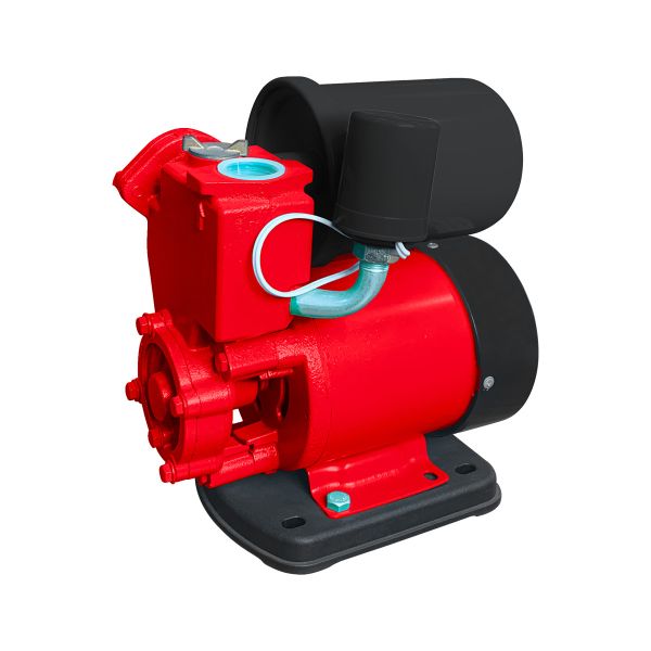 RDX863 Hydrophore pump