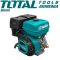 Բենզինային շարժիչ TOTAL TGEN1881 19128